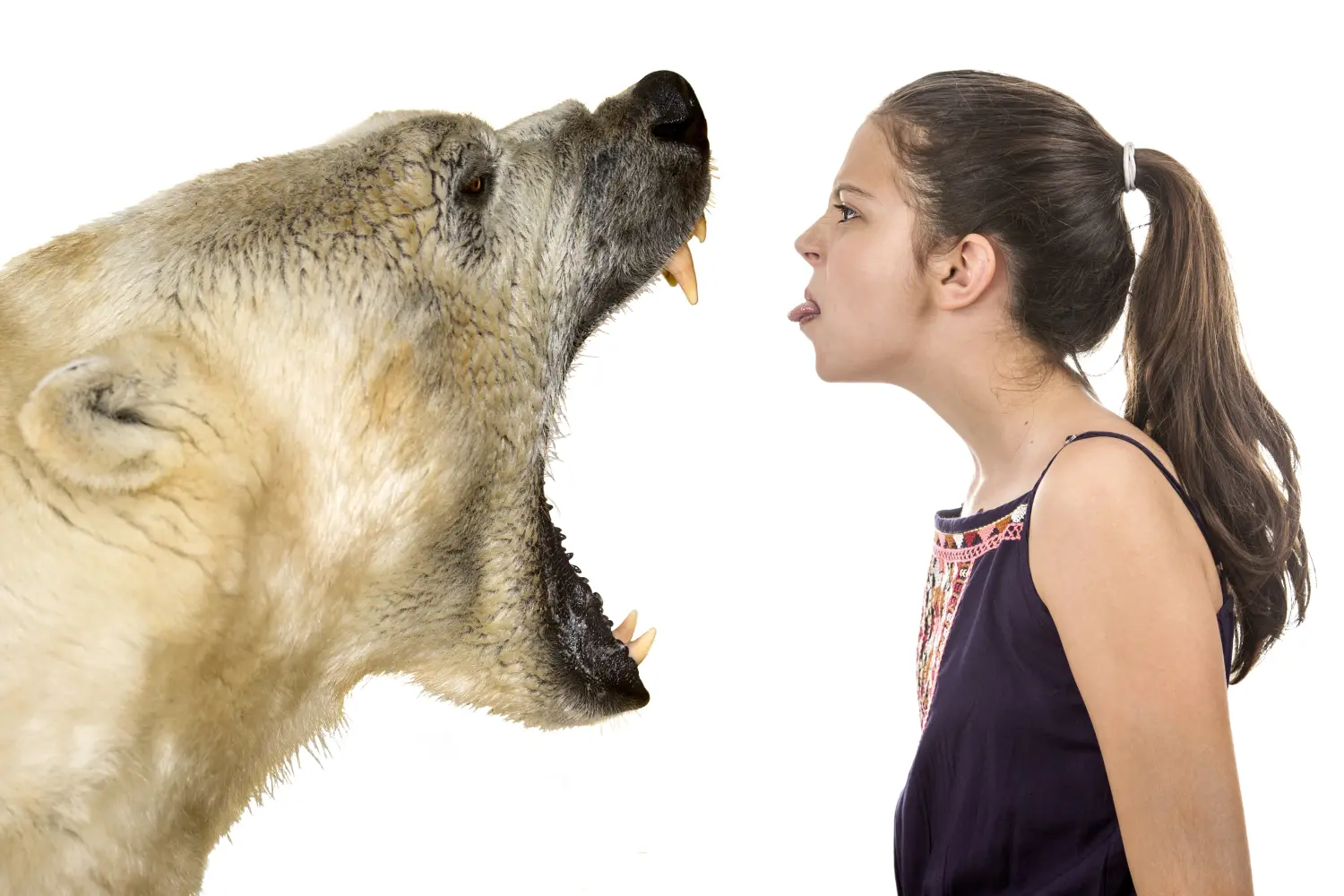 Junges, furchtloses Mädchen mit einem Eisbären auf weißem Hintergrund